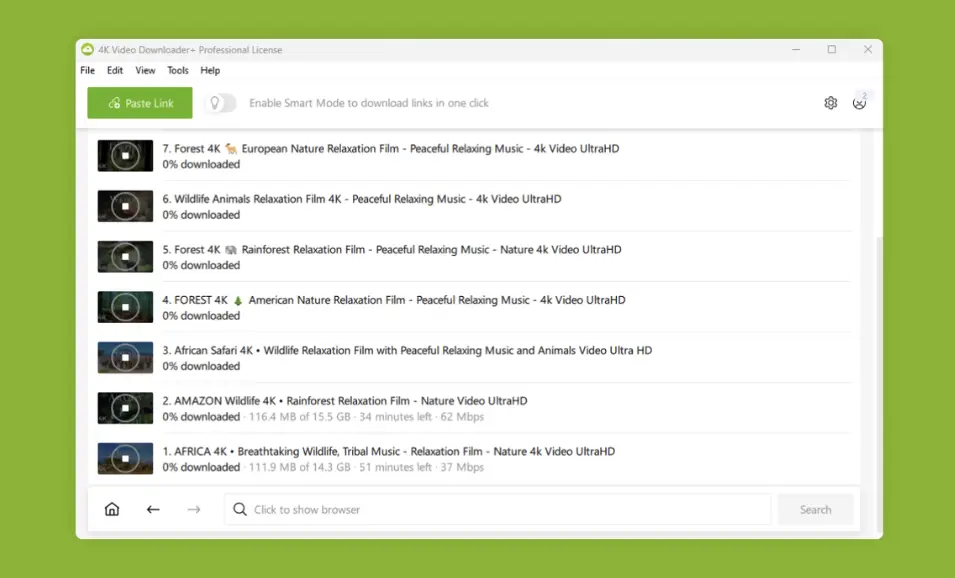 4K Video Downloader