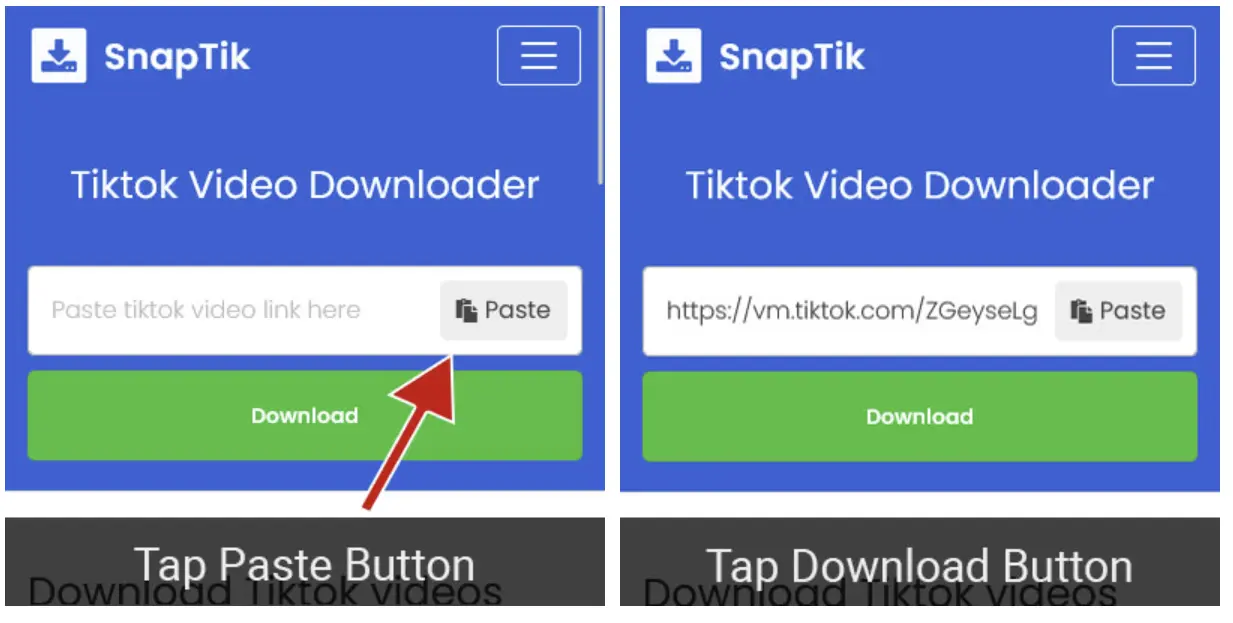 SnapTik